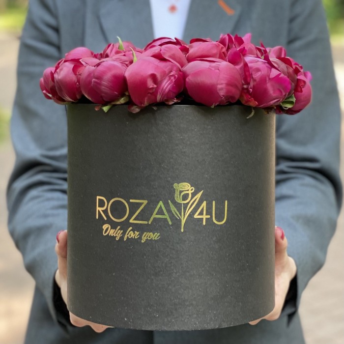 25 пионов Канзас в коробке